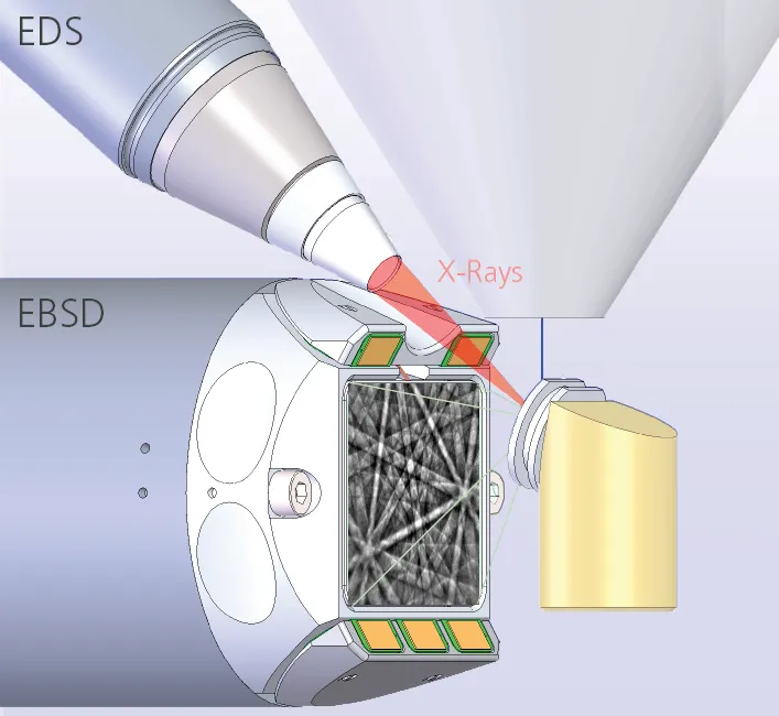 Fig11 EDS-EBSD