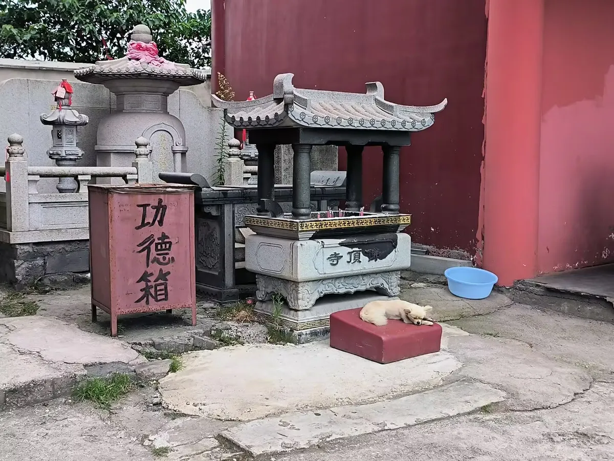 图9 佛顶寺的功德箱与小狗
