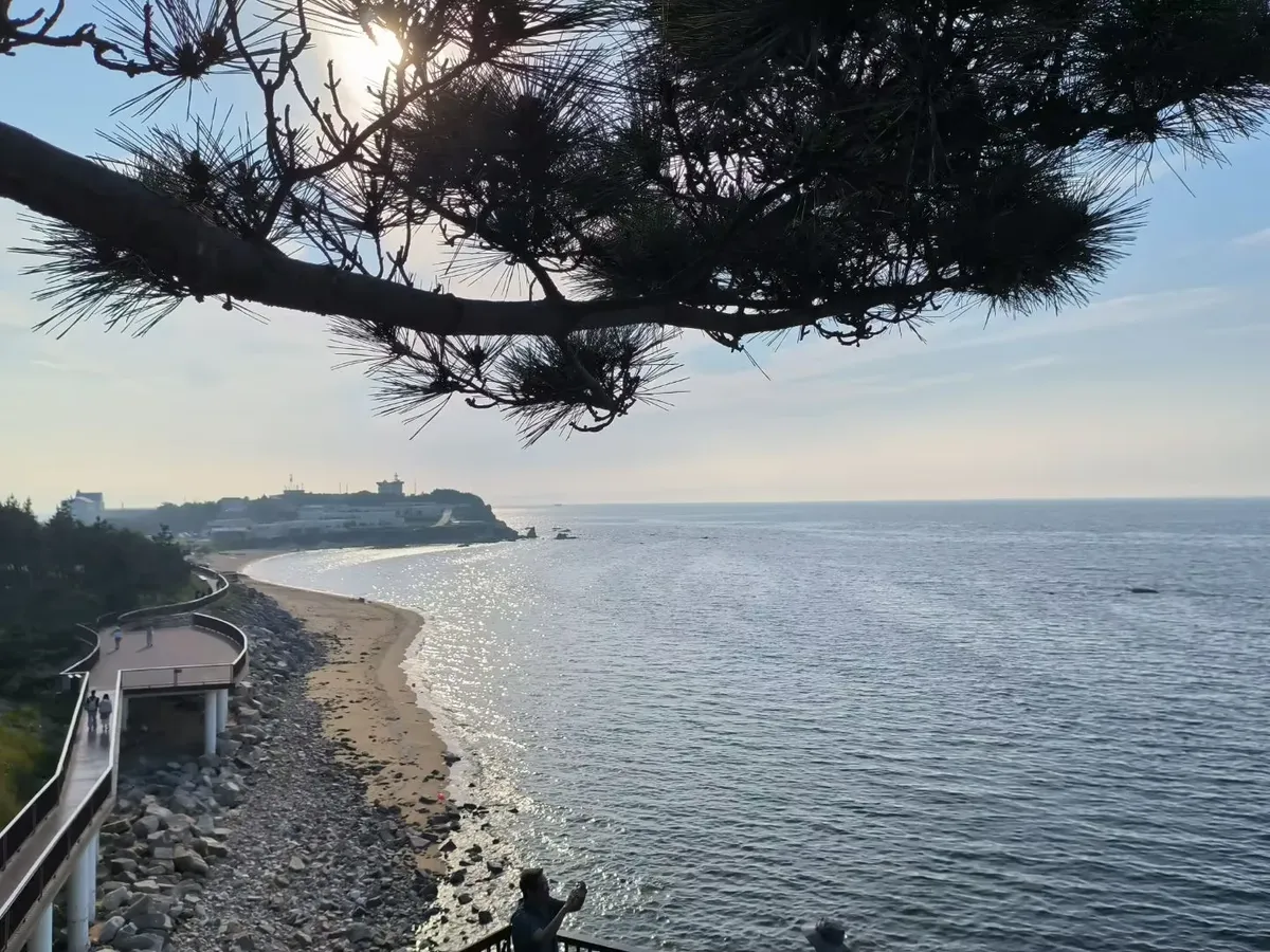 图9 松下看海