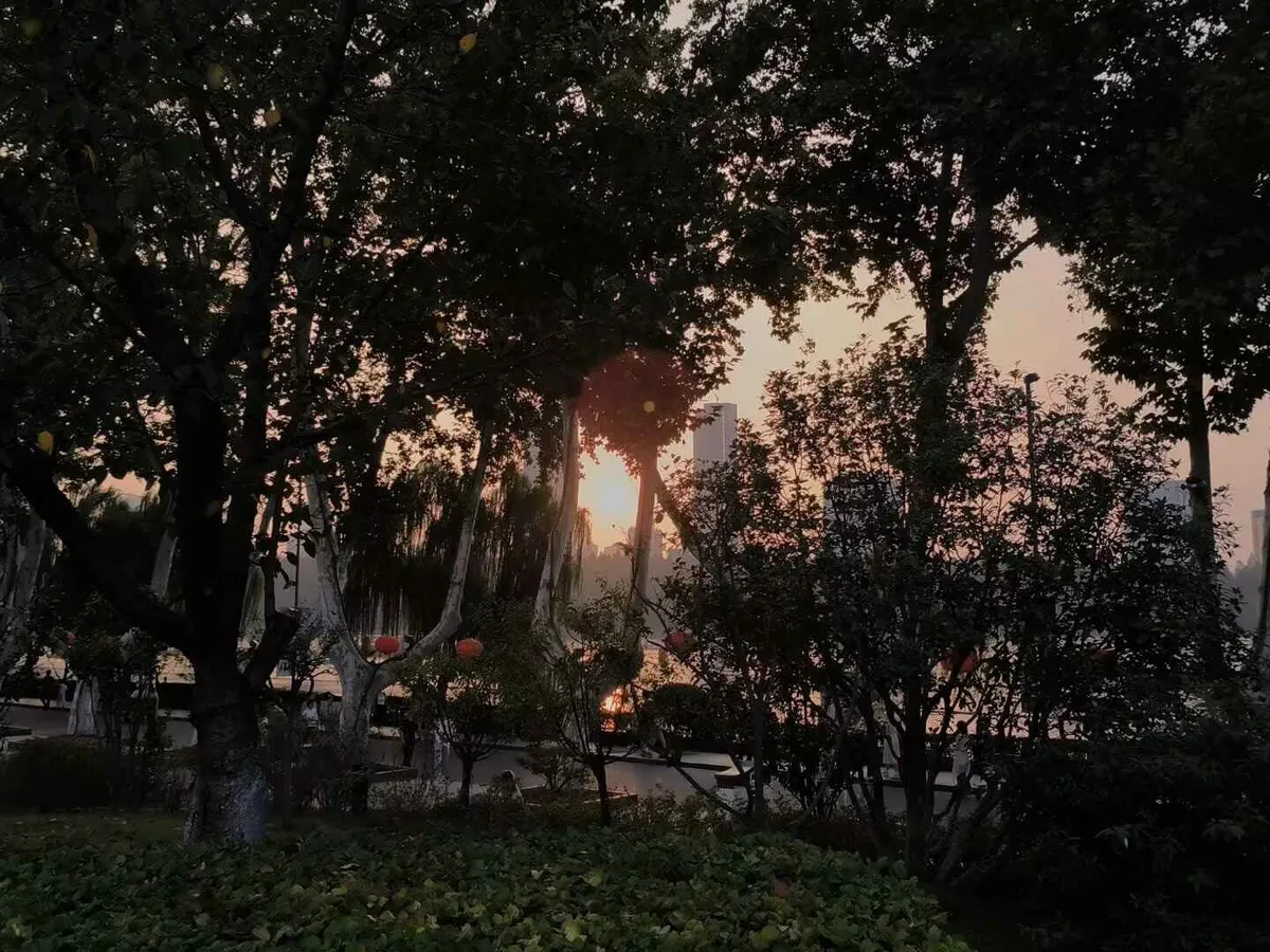 图16 玄武湖的夕阳