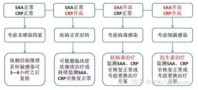 图4 SAA & CRP