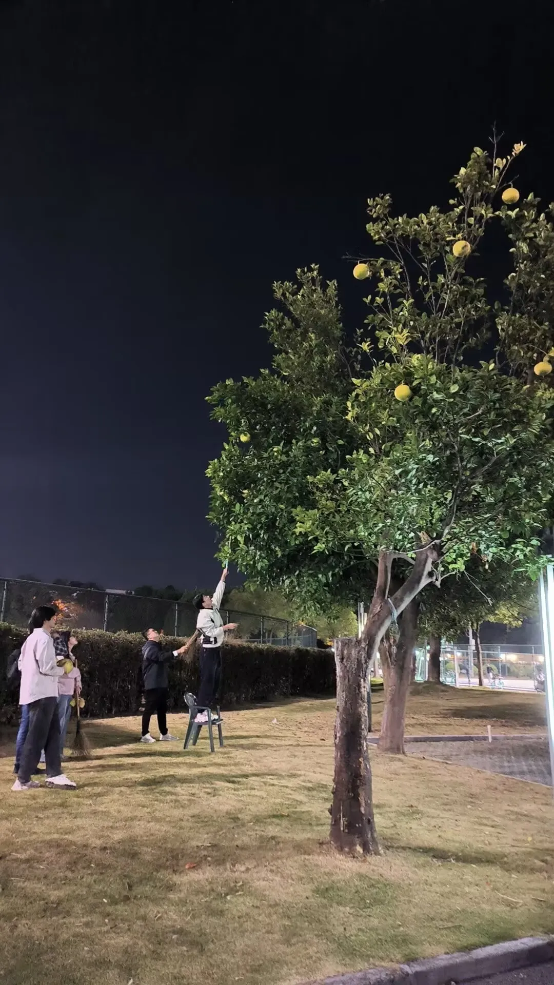 图6 打柚子的同学……但是这柚子真好吃吗?