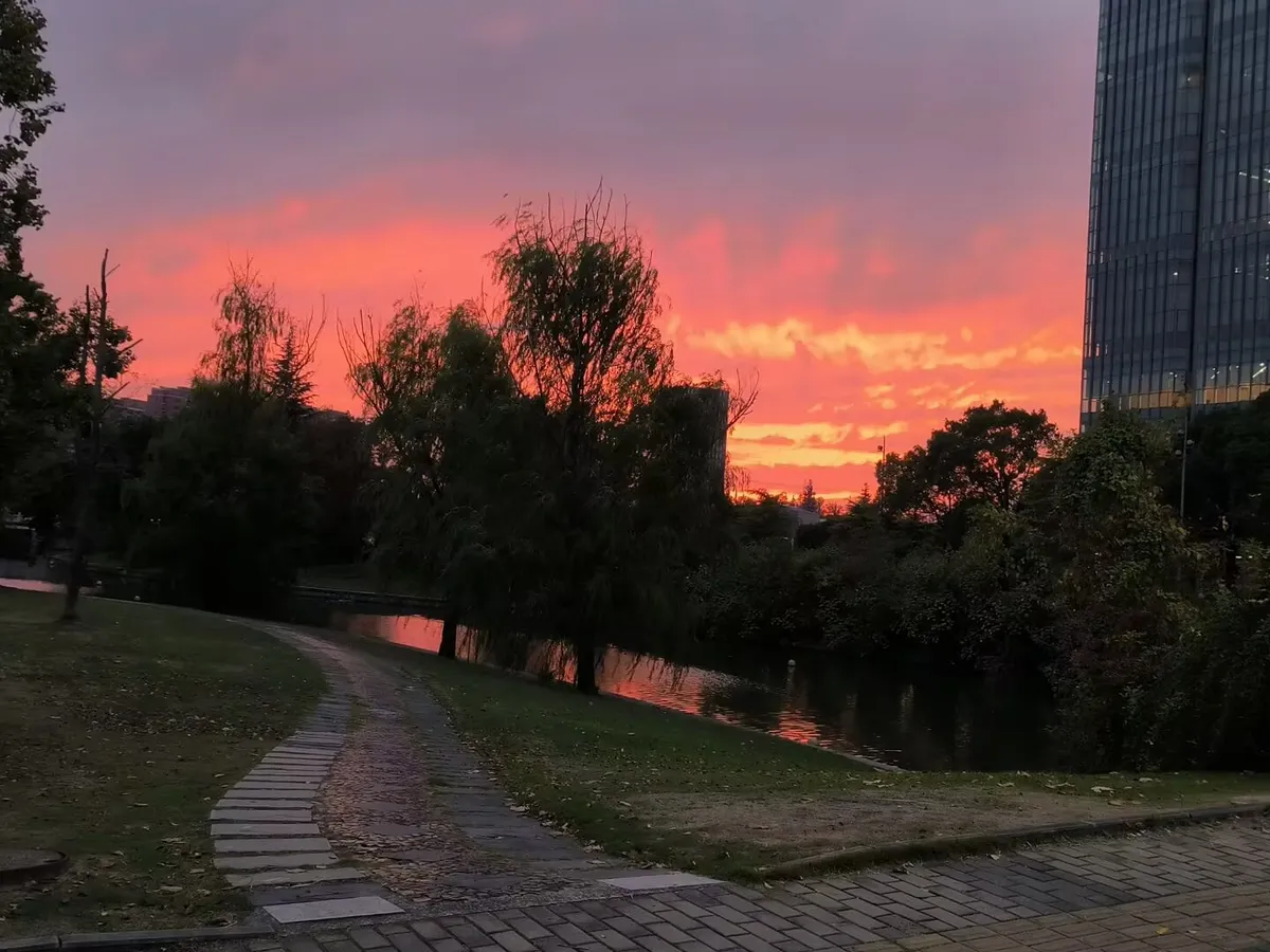 图3 图书馆前的夕阳